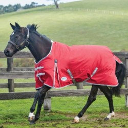 Weatherbeeta Comfitec Classic Standard Medium 220g Weidedecke - red/silver/navy