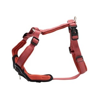 WOLTERS Hundegeschirr Professional Comfort rostrot, Gr. -1, Breite: ca. 15 mm, Bauchumfang: ca. 27 - 32 cm