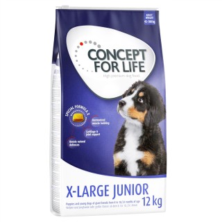 Sparpaket Concept for Life 2 x Großgebinde - X-Large Junior (2 x 12 kg)