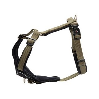 WOLTERS Hundegeschirr Professional Comfort grün, Gr. -1, Breite: ca. 15 mm, Bauchumfang: ca. 27 - 32 cm