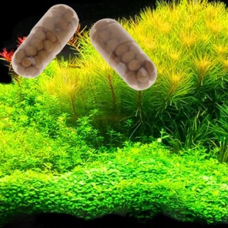 40 Stück Wasserpflanzen-Wasserwurzeldünger, kondensierter Aquarium-Zylinder 1