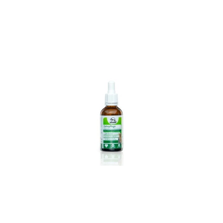 Fortan Zahnpflege 50ml