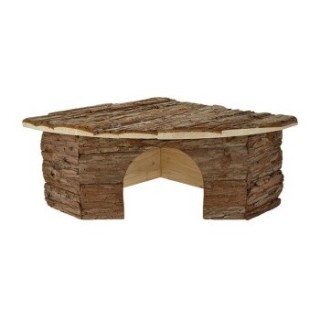 AniOne Eckhaus Nico M