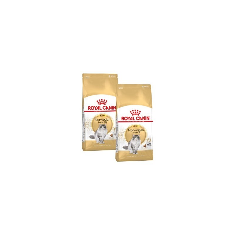 ROYAL CANIN Norwegian Forest Adult 2x10 kg