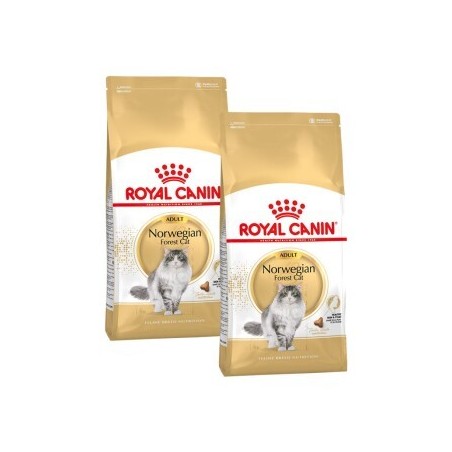 ROYAL CANIN Norwegian Forest Adult 2x10 kg