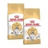 ROYAL CANIN Norwegian Forest Adult 2x10 kg