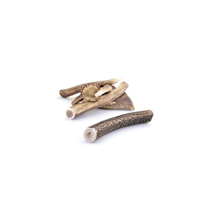 Larsson Geweih XL ca. 160-250g