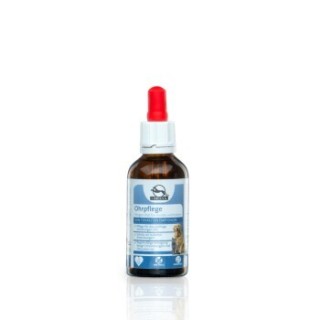 Fortan Ohrpflege Tinktur 50 ml 50 ml