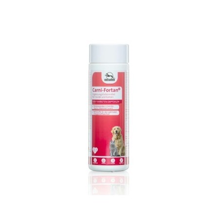 Fortan Carni-Fortan Pulver mit L-Carnitin 350 g