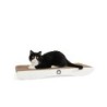 Canadian Cat Company Kratzbrett Comet XL hellgrau