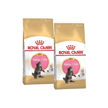 ROYAL CANIN Maine Coon Kitten 2x10 kg