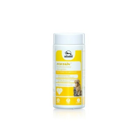 Fortan Fortain Pulver Eisenquelle 80 g