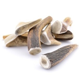 Larsson Geweih S ca. 50-80g