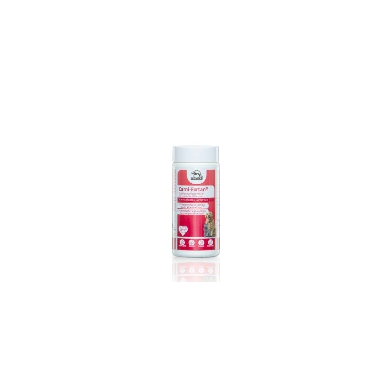 Fortan Carni-Fortan Pulver mit L-Carnitin 80 g