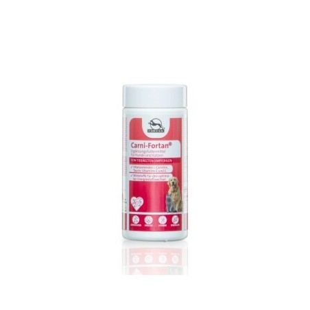 Fortan Carni-Fortan Pulver mit L-Carnitin 80 g