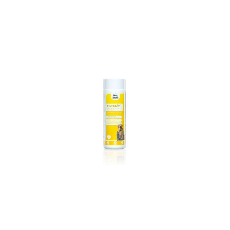 Fortan Fortain Pulver Eisenquelle 250 g