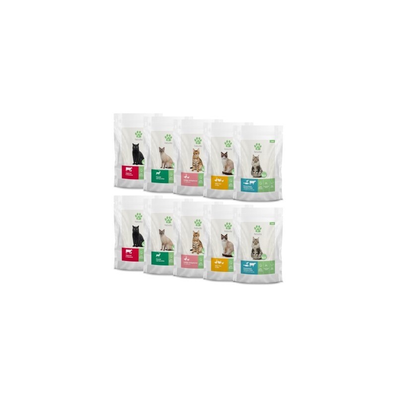 Fellicita Multipack 5 Sorten 10x 95 g