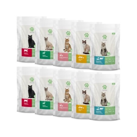Fellicita Multipack 5 Sorten 10x 95 g