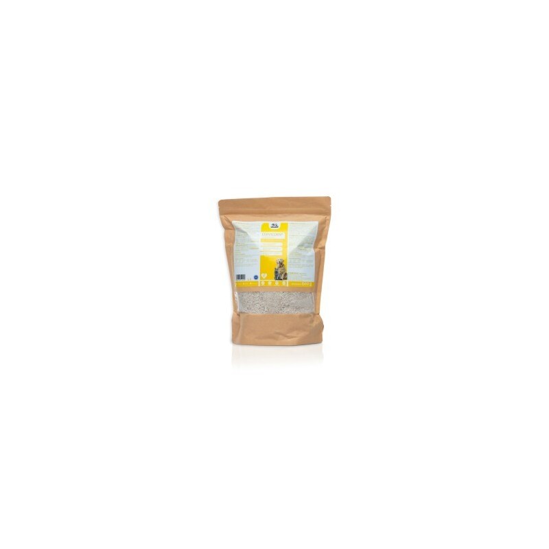 Fortan CERVICORN BARF Zusatz 600 g