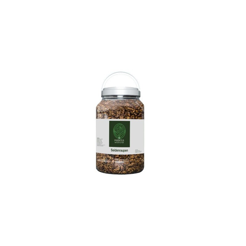 Insektus Seidenraupen 1,5 kg