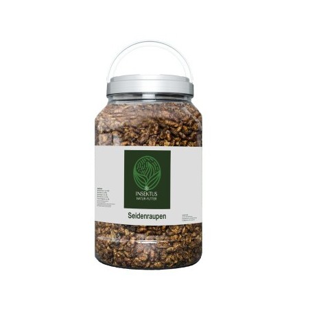 Insektus Seidenraupen 1,5 kg