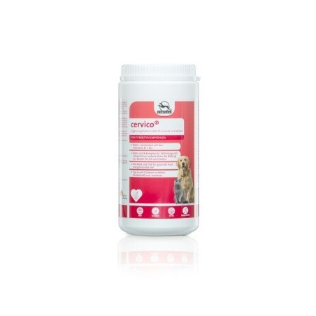 Fortan Cervico Pulver mit Biotin 900 g