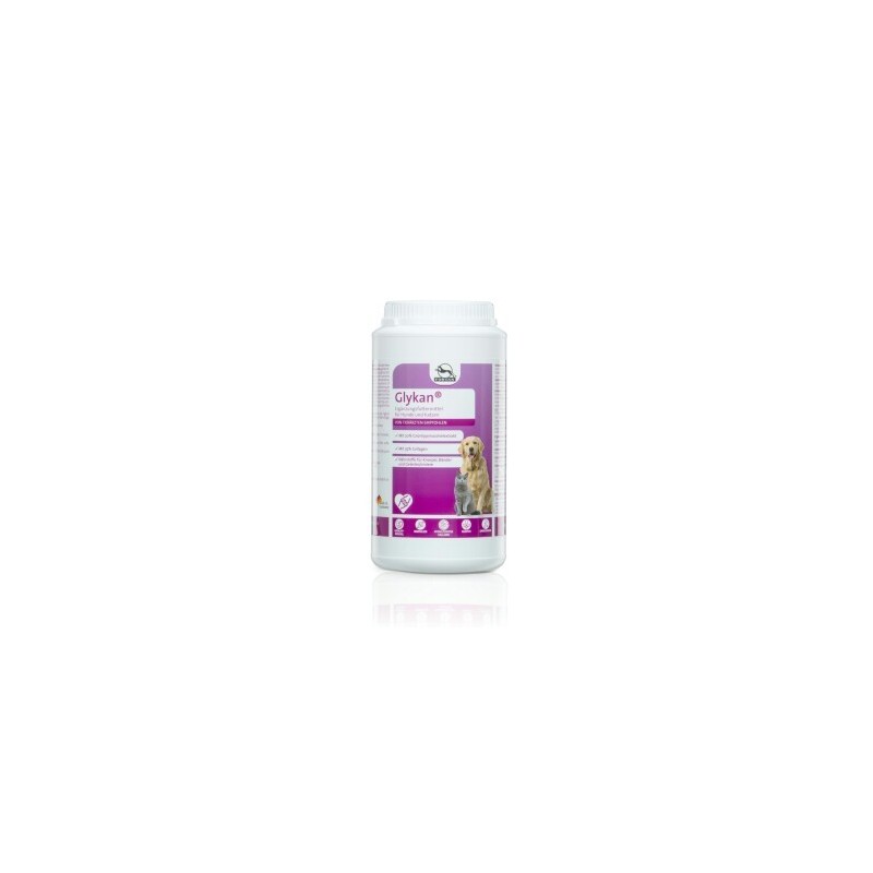 Fortan Glykan Pulver mit Grünlippmuschel 1,2 kg