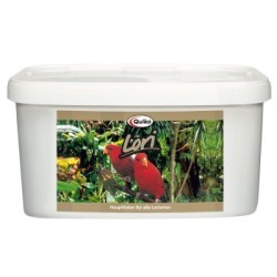 Quiko Lori 3 kg