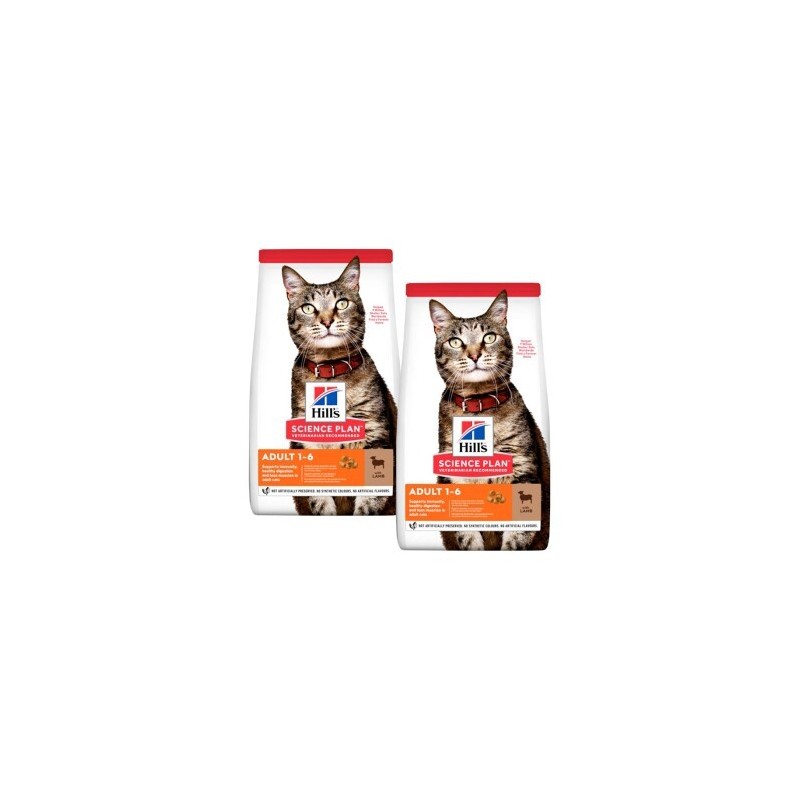 Hill's Science Plan Adult Lamm und Reis 2x10 kg