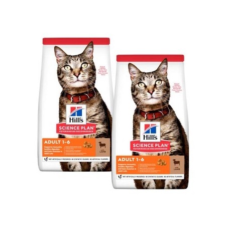 Hill's Science Plan Adult Lamm und Reis 2x10 kg