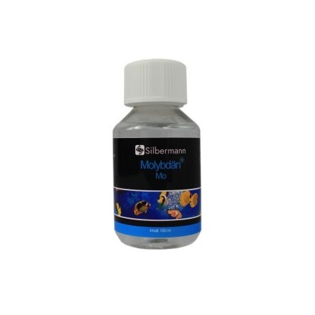 Silbermann Molybdän+ 100 ml
