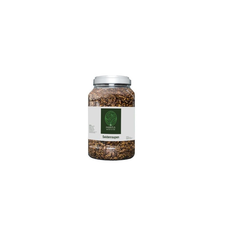 Insektus Seidenraupen 500 g