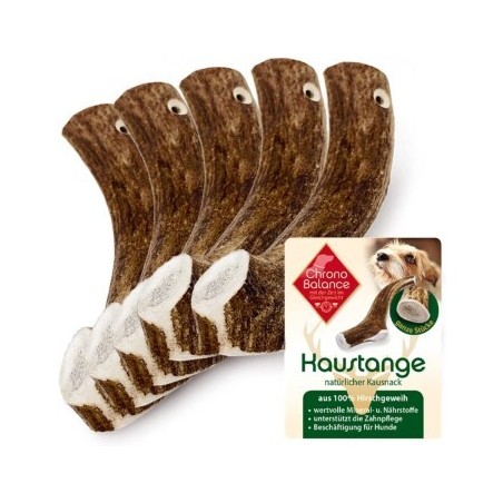 ChronoBalance Rothirsch Geweihstange ganze und runde Stücke 5er Set 300 g