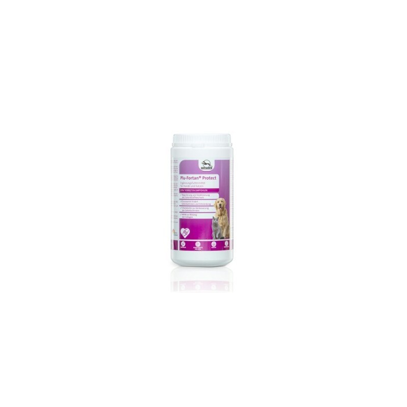 Fortan Plu-Fortan Protect Tabletten mit MSM 1 kg