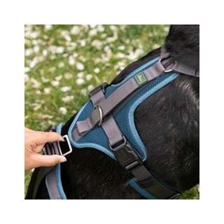 HUNTER Hunde Sicherheitsgeschirr Maldon petrol/grau, Gr. XS, Breite: ca. 1,5 cm, Bauchumfang: ca. 34 - 49 cm, Halsweite: ca.