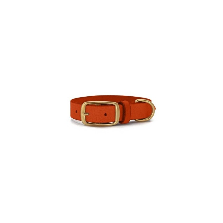 THE DOG IDEA Leder Halsband Orange XXL