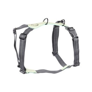 Cloud7® Hundegeschirr Madeira mint, Gr. S, Breite: ca. 1,5 cm, Brustumfang: ca. 44 - 66 cm, Halsumfang: ca. 27 - 44 cm