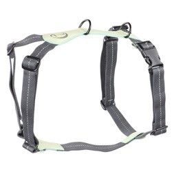 Cloud7® Hundegeschirr Madeira mint, Gr. S, Breite: ca. 1,5 cm, Brustumfang: ca. 44 - 66 cm, Halsumfang: ca. 27 - 44 cm