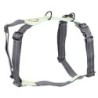 Cloud7® Hundegeschirr Madeira mint, Gr. S, Breite: ca. 1,5 cm, Brustumfang: ca. 44 - 66 cm, Halsumfang: ca. 27 - 44 cm