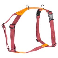 Cloud7® Hundegeschirr Madeira papaya, Gr. L, Breite: ca. 2,5 cm, Brustumfang: ca. 50 - 74 cm, Halsumfang: ca. 38 - 64 cm