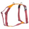 Cloud7® Hundegeschirr Madeira papaya, Gr. L, Breite: ca. 2,5 cm, Brustumfang: ca. 50 - 74 cm, Halsumfang: ca. 38 - 64 cm