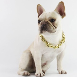 Französischer Kampfhund Bully Goldkette S und mittelgroßes Hundehalsband Haustier-Halskettenschmuck gold