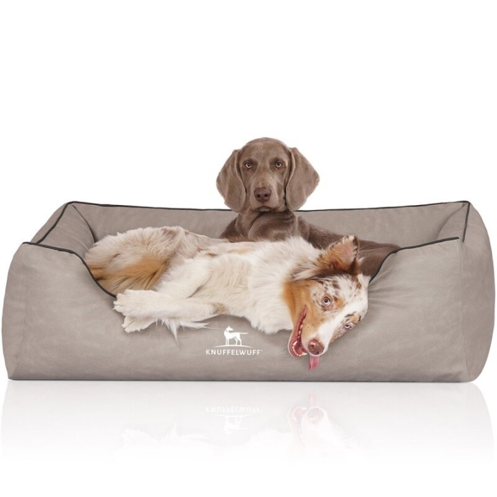 Knuffelwuff Orthopädisches Hundebett Rockland aus Kunstleder hellgrau XXL