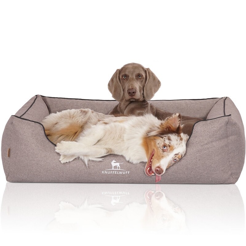 Knuffelwuff Orthopädisches Hundebett Wippo aus Velours mit Handwebcharakter grau XL
