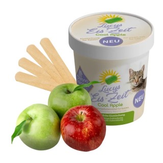 ChronoBalance Katzeneis zum Selbermachen Cool Carrot Frucht