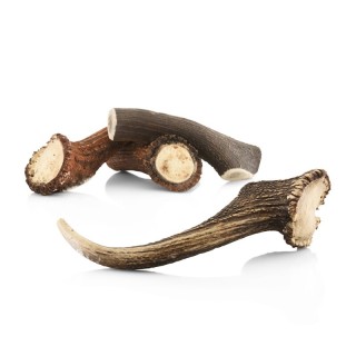 Larsson Geweih GIANT ca. 400g