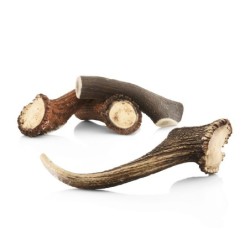 Larsson Geweih GIANT ca. 400g