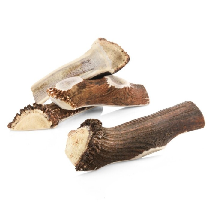 Larsson halbiertes Geweih Jumbo ca. 250g