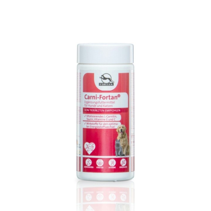 Fortan Carni-Fortan Pulver mit L-Carnitin 80 g