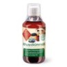 ChronoBalance Schwarzkümmelöl 250 ml